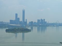 -洄归山也·高空C位湖景下午茶(东方之门店)