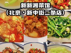 -新新湘菜馆(新中街二条店)