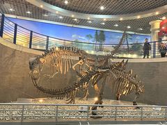 -国家自然博物馆