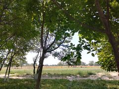 -汉长安城未央宫国家考古遗址公园