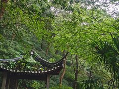-南山风景名胜区
