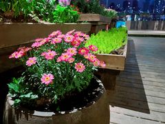 -冰冰龙虾·江湖菜·花园江景餐厅