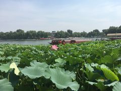 -小王府(什刹海店)