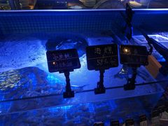 -渔民船说·北塘海鲜·天津菜·海肠捞饭(北塘古镇店)