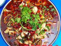肥肠鱼-美食佳菜豆腐鱼庄