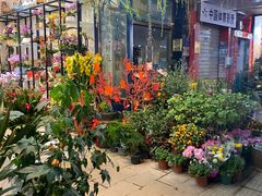 -溪岸路花鸟市场