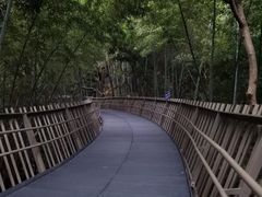 -福道
