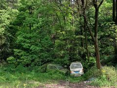 -铁山坪森林公园