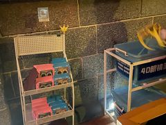 -郑州方特梦幻王国