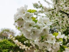 -后襄河公园