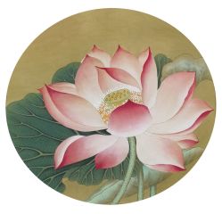 -盘子女人坊古装写真摄影(天津总店)