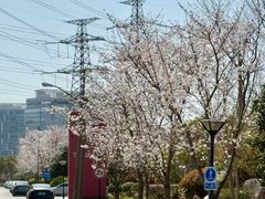 -外高桥保税区南(地铁站)