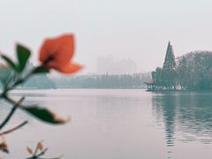 -食膳公园包子铺(烈士公园店)