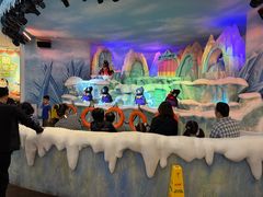 -帝企鹅自助餐厅•儿童岛•真企鹅(长隆企鹅酒店)