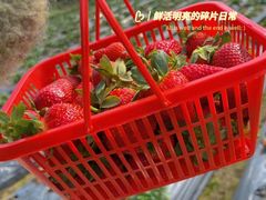 -丹樱生态园