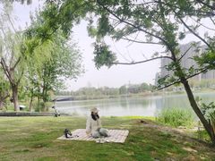 -大小河街
