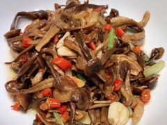 杏鲍菇炒肚丝-大鸽饭(马王堆店)