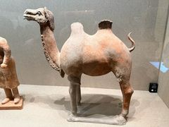 -敦煌市博物馆