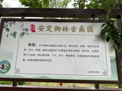 -御林古桑园