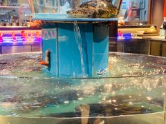 -魏铭鱼头捞饭(晋阳路店)