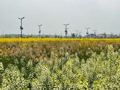 -中国天府农业博览园