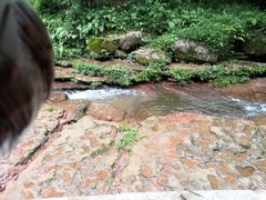 -芦沟竹海
