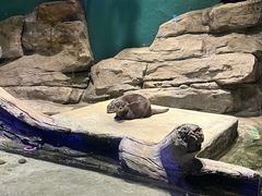 -重庆欢乐海底世界