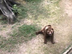 -南宁市动物园
