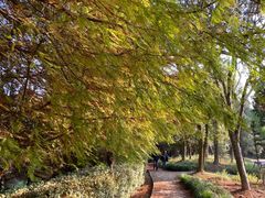 -上海植物园·停车场