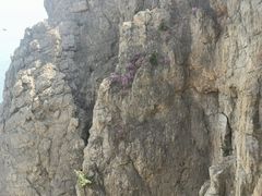 -石槽海滨浴场