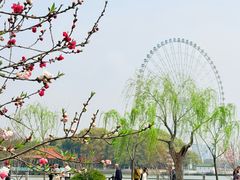 -无锡蠡湖国家湿地公园-蠡园