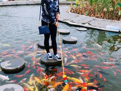 -白洋淀景区