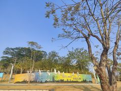 -白石龙音乐公园