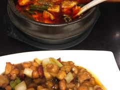 -陈麻婆豆腐总店