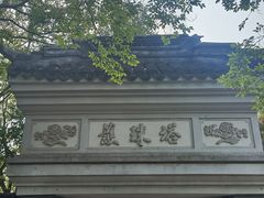 -上海佘山国家森林公园天马山园