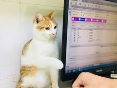 -芭比堂动物医院广州顽皮分院