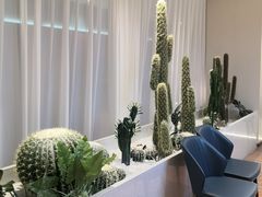 -悦海·家宴·冰花皮皮虾大锅贴(宝龙店)