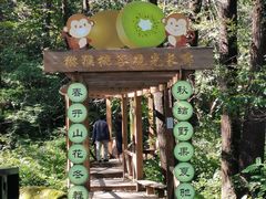 -大岭沟猕猴桃谷风景区
