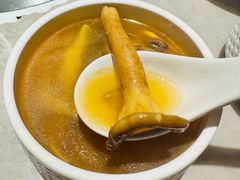 -芸山季·云南野生菌火锅(宝能环球汇店)