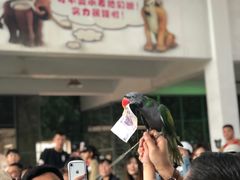 -哈尔滨北方森林动物园