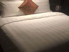 -深圳湾科技园丽雅查尔顿酒店