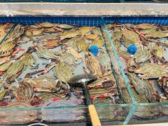 -一方渔歌蒸汽海鲜自助(文化路万达广场店)