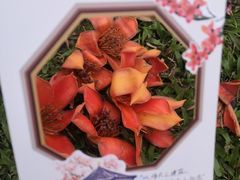 -黎恩凉茶·果汁(广卫路店)