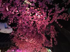 -韵秋荷(宝山龙湖天街店)