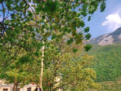 -萝卜寨羌文化生态旅游区