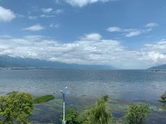-野菌皇海景野生菌火锅(滨海大道店)