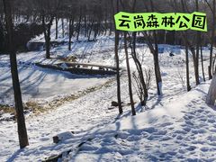 -云岗森林公园