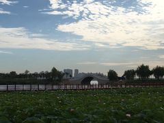 -天津东丽湖风景区