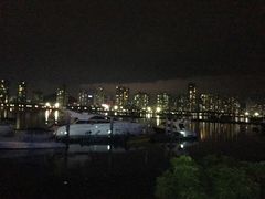 -野狸岛