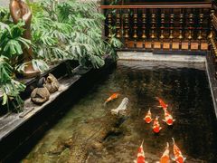 -福禧酒窖·中餐厅 (万柳店)